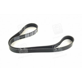 Ремінь  (вир-во DAYCO)