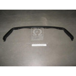 Накладка решетки MB SPRINTER -06 (пр-во TEMPEST) 