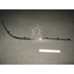 Молдинг бамп. зад. лiв. VW PASSAT B6 05-10 (вир-во TEMPEST) 