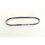 Ремінь поліклин. (вир-во DAYCO) 