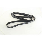 Ремінь поліклин. (вир-во DAYCO) 