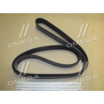 Ремінь поліклин. (вир-во DAYCO) 