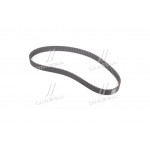 Ремінь поліклин. (вир-во DAYCO) 