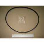 Ремінь клиновий 13X1100 (вир-во DONGIL) 