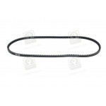 Ремінь клиновий 10X1050 (вир-во DONGIL) 