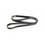 Ремінь поліклин. 6PK2165 (вир-во DONGIL) 