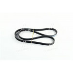 Ремінь поліклин. 4PK1082 (вир-во DONGIL) 