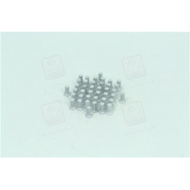 Заклепка 5х12 накладки колодки гальма Газель (40шт) (вир-во України)