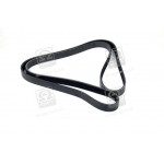 Ремінь поліклін. (вир-во SKF) 