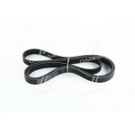 Ремінь поліклін. (вир-во SKF) 