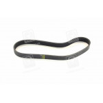 Ремінь поліклін. (вир-во SKF) 