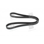 Ремінь поліклін. (вир-во SKF) 