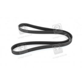 Ремінь поліклін. (вир-во SKF)