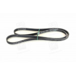 Ремінь поліклін. (вир-во SKF) 