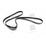 Ремінь поліклін. (вир-во SKF) 