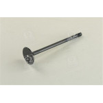 Клапан двигуна (вир-во Mobis) 