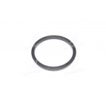 Кільце уплотн.еелектробензонасоса Уаз-Уаз-Хантер (двиг.ЗМЗ) (куплен. УАЗ) 