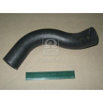 Патрубок радіатора ГАЗ 2410 нижній (вир-во БРТ) 