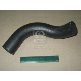 Патрубок радіатора ГАЗ 2410 нижній (вир-во БРТ)