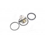 Термостат (вир-во Mahle) 