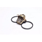 Термостат (вир-во Mahle) 