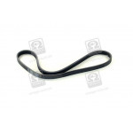 Ремень полiклин. (вир-во SKF) 