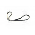 Ремень полiклин. (вир-во SKF) 