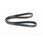 Ремень полiклин. (вир-во SKF) 