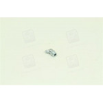 Прес-маслянка М10х1х45 кутова <ДК> 