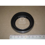 Сальник маточини ISZ TROOPER 48*70*13*19 (вир-во MUSASHI) 