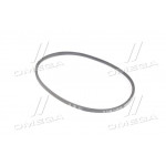 Ремінь 8,5 х8х850 генератора МАЗ, КрАЗ (вир-во Rubena) 