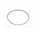 Ремінь 8,5 х8х1018 ГАЗ-24 (вир-во Rubena) 