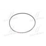 Ремінь 8,5 х8х1120 ДВС-245 (вир-во Rubena) 