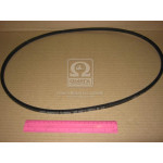 Ремінь 8,5 х8х1250 насоса вод. (вир-во Rubena) 