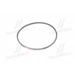 Ремінь 11х10х1250 МТЗ-80, -82, СМД-31-01 (вир-во Rubena) 