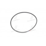 Ремінь 11х10х1400 ЯМЗ-8401, ПАЗ (вир-во Rubena) 