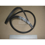 Ремінь 11х10х1450 ПАЗ-672, ЛіАЗ-5251, ЗІЛ-157Л, ДТ-75В, СМД-19, 20, СМД-18 (вир-во Rubena) 