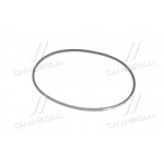 Ремінь 11х10х1500 СМД-18Н, ПАЗ (вир-во Rubena) 