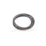 Ремінь 11х10х1775 ГАЗ-66, ПАЗ-3205 (вир-во Rubena) 