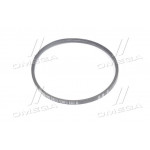 Ремінь 14х10х987 ГУР (вир-во Rubena) 