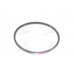 Ремінь 21х14х1450 БелАЗ (вир-во Rubena) 