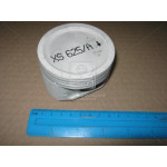 Поршень evanda (вир-во GM) 