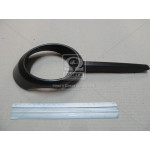 Молдинг (пр-во GM) 