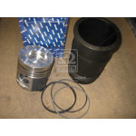 Гільзо-комплект Євро-2 (ДП + Кільця) (общ.гол.) Коротка гільза (вир-во ЯМЗ) П/К 