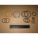 Р/к гидроцил. ЦС-63 (Руслан-Комплект) 