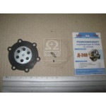 Р/к карбюратора П-10УД (с иглой) (Руслан-Комплект) 