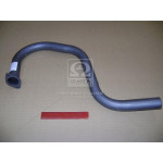 Труба випускна ГАЗ 3102 (Гусь-короткий) (вир-во Іжора) 