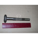 Болт стягнутий вала первинного 