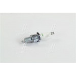 Свічка запалювання BMW 3(E30), 5(E34), 7(E32) (вир-во NGK) 