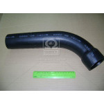 Рукав радіатора КамАЗ <Євро-2> підвідний (нижн.) (вир-во БРТ) 